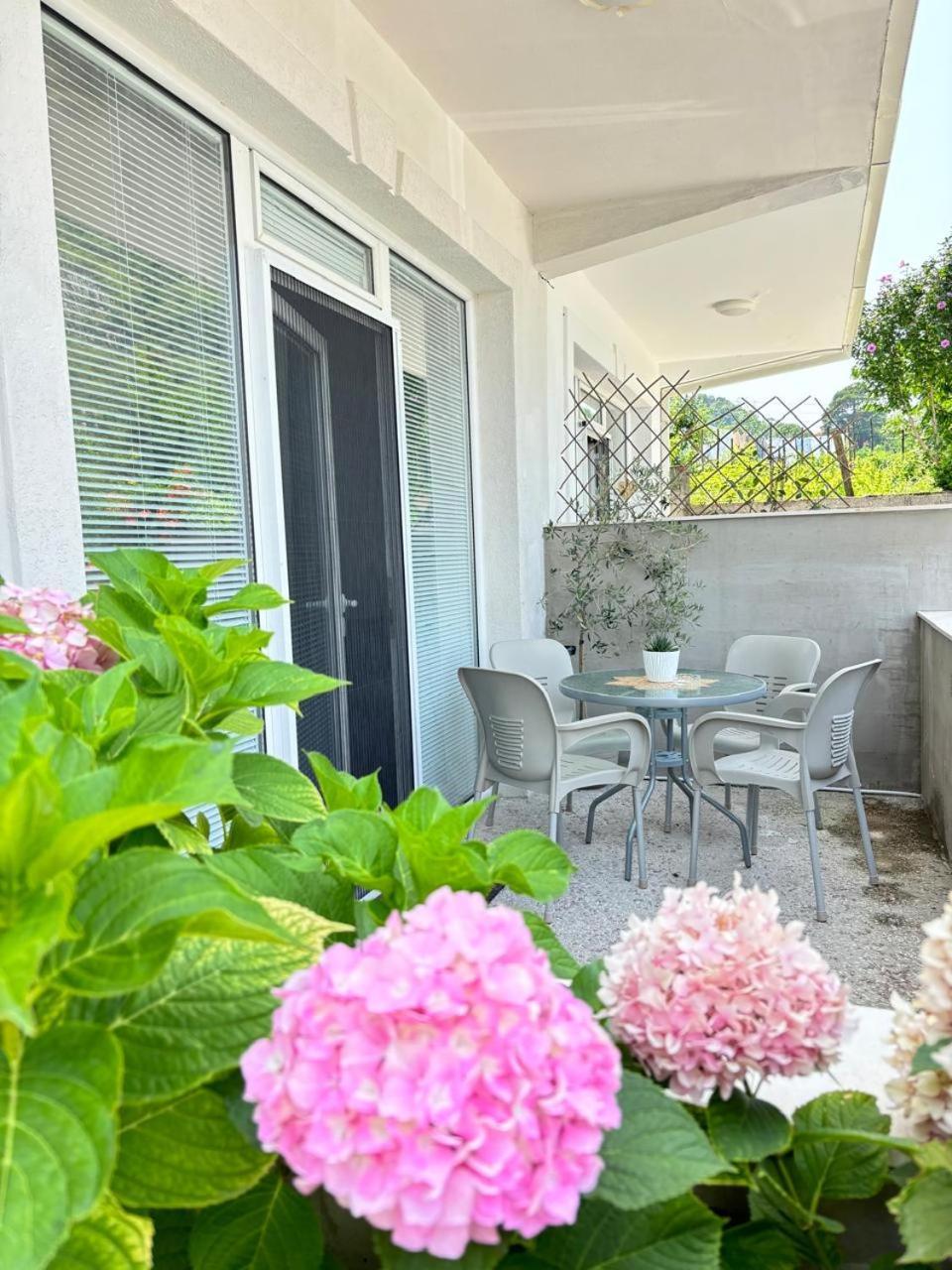 Apartment Boka Pearl Kotor